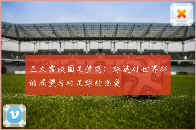 王大雷谈国足梦想：球迷对世界杯的渴望与对足球的热爱