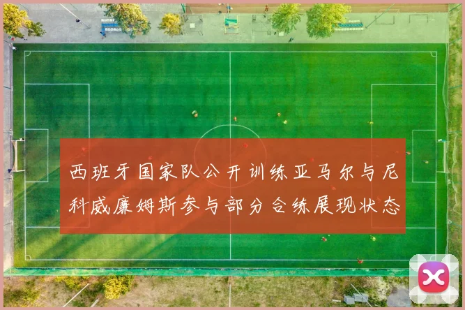 西班牙国家队公开训练亚马尔与尼科威廉姆斯参与部分合练展现状态